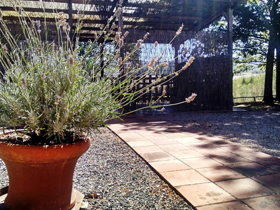 Agriturismo Podere Cherzo Cinigiano ภายนอก รูปภาพ