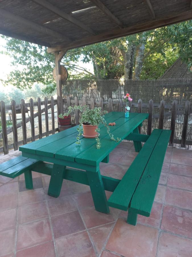 Agriturismo Podere Cherzo Cinigiano ภายนอก รูปภาพ