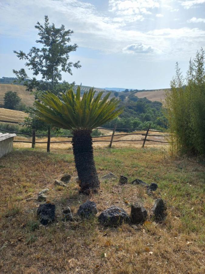 Agriturismo Podere Cherzo Cinigiano ภายนอก รูปภาพ