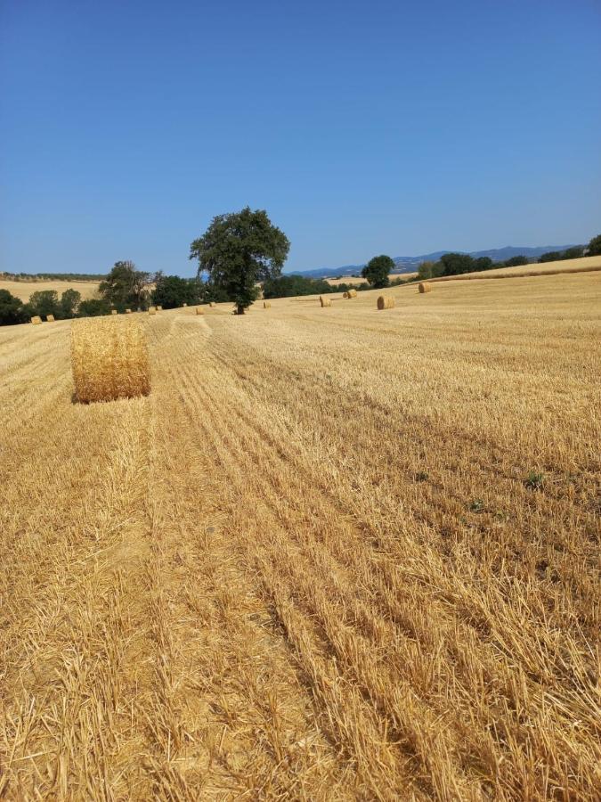 Agriturismo Podere Cherzo Cinigiano ภายนอก รูปภาพ