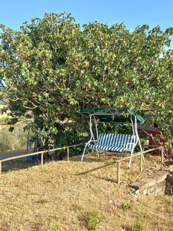 Agriturismo Podere Cherzo Cinigiano ภายนอก รูปภาพ