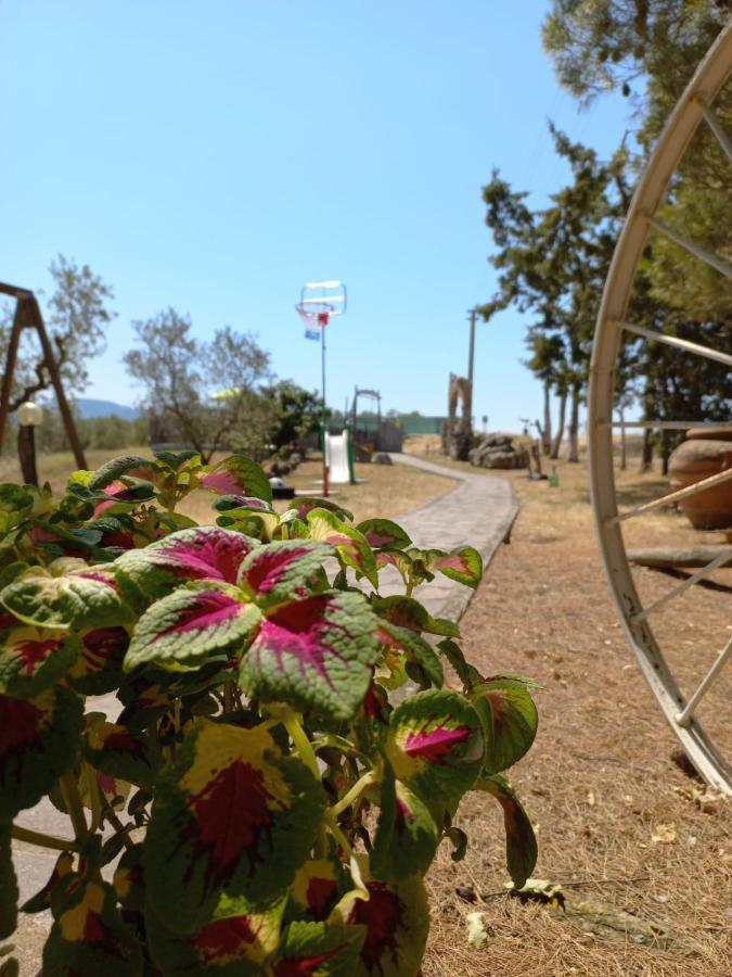 Agriturismo Podere Cherzo Cinigiano ภายนอก รูปภาพ