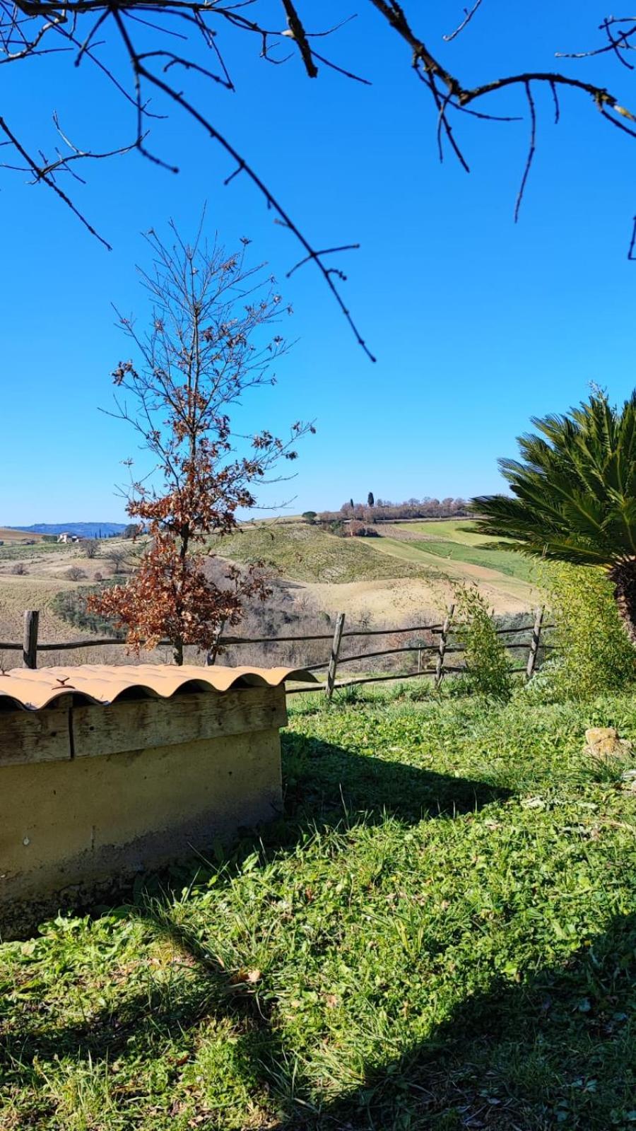 Agriturismo Podere Cherzo Cinigiano ภายนอก รูปภาพ